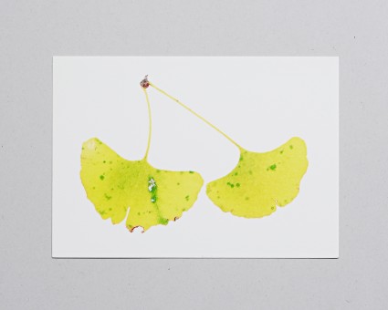 UV印刷ポストカード