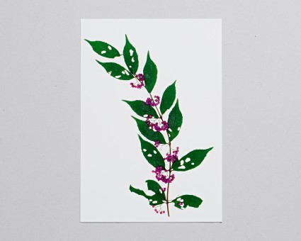 UV印刷ポストカード