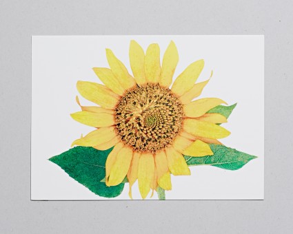 UV印刷ポストカード