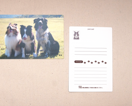 ポストカード